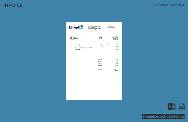 USA LinkedIn-Rechnungsbeispiel (Vorschau)